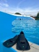 Plavecké plutvy Aqua Sphere Microfin HP Blue/Black