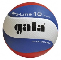 Míč na volejbal Gala Pro-Line 10 BV 5581 S