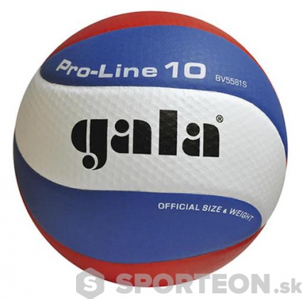 Volejbalová lopta Gala Pro-Line 10 BV 5581 S