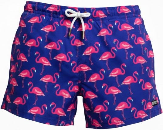 Funky trunks shorts flocked up xxl - uk40
